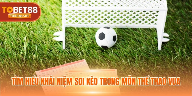 Tìm hiểu khái niệm soi kèo trong môn thể thao Vua