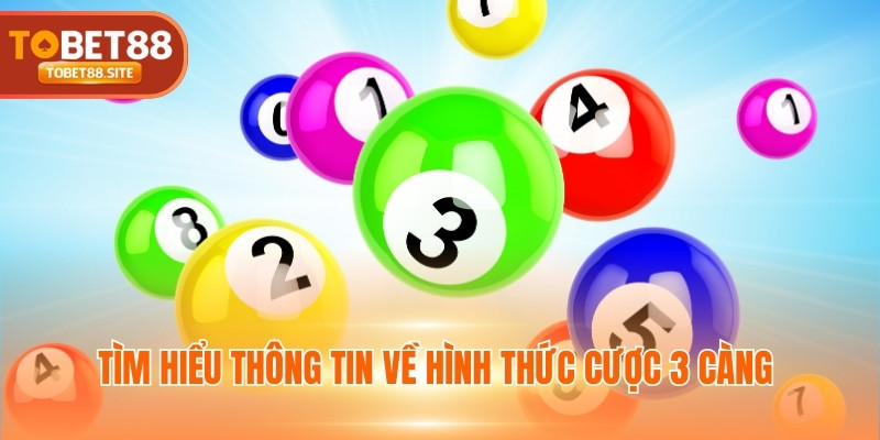Tìm hiểu thông tin về hình thức cược 3 càng